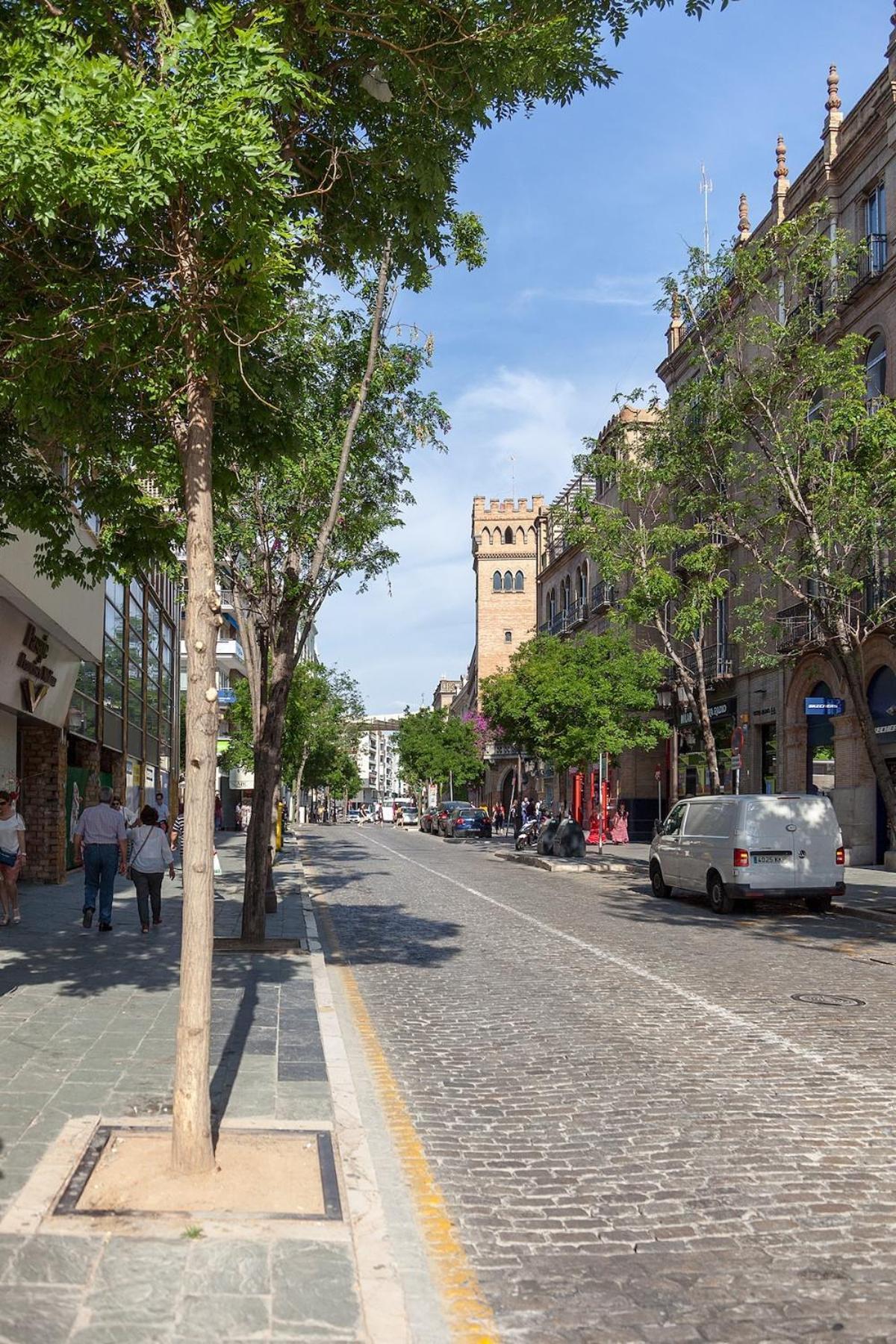 Bright Ideal Apartment, Historic Center Martin Seville